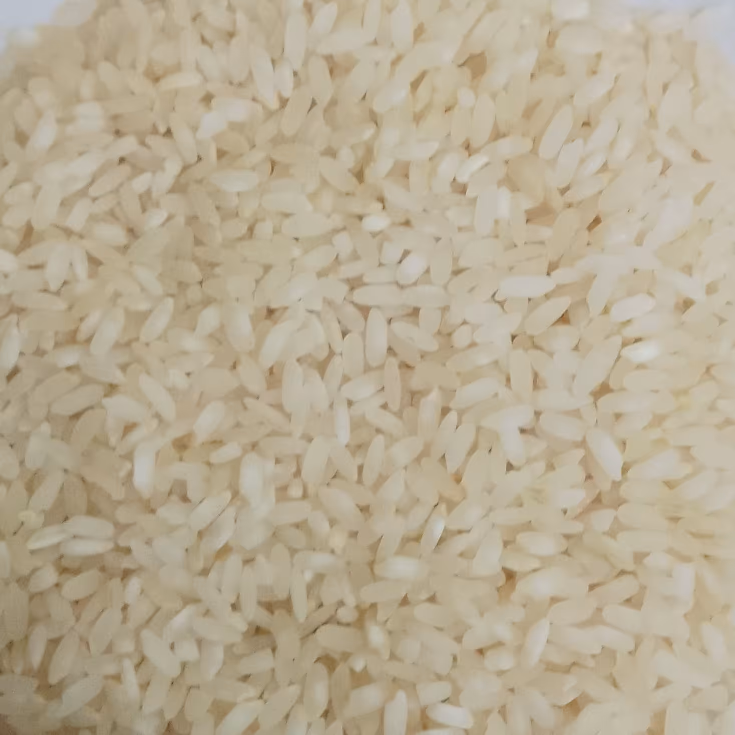 برنج کامفیروز مرودشت (10000 گرم)