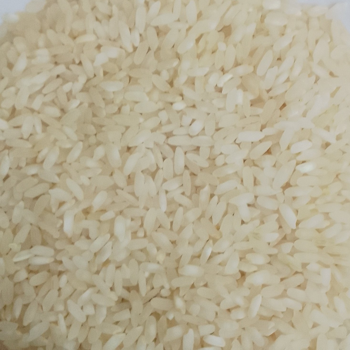 برنج کامفیروز مرودشت (10000 گرم)