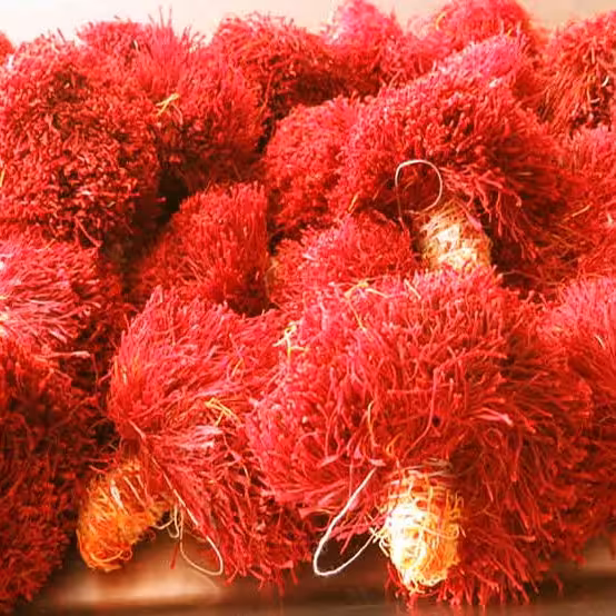 زعفران دختر پیچ 2 گرمی عطرین طلاب