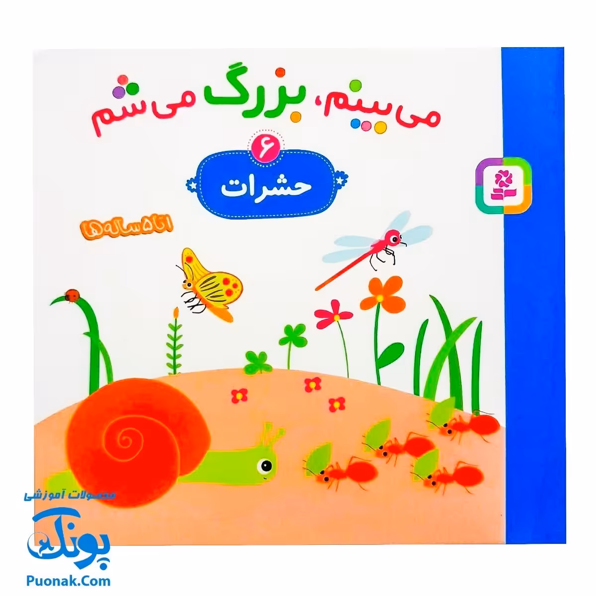 کتاب مجموعه می بینم بزرگ می شم 6 حشرات برای سنین 1 تا 5 ساله