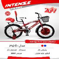 دوچرخه بچگانه اینتنس 20 359 2017