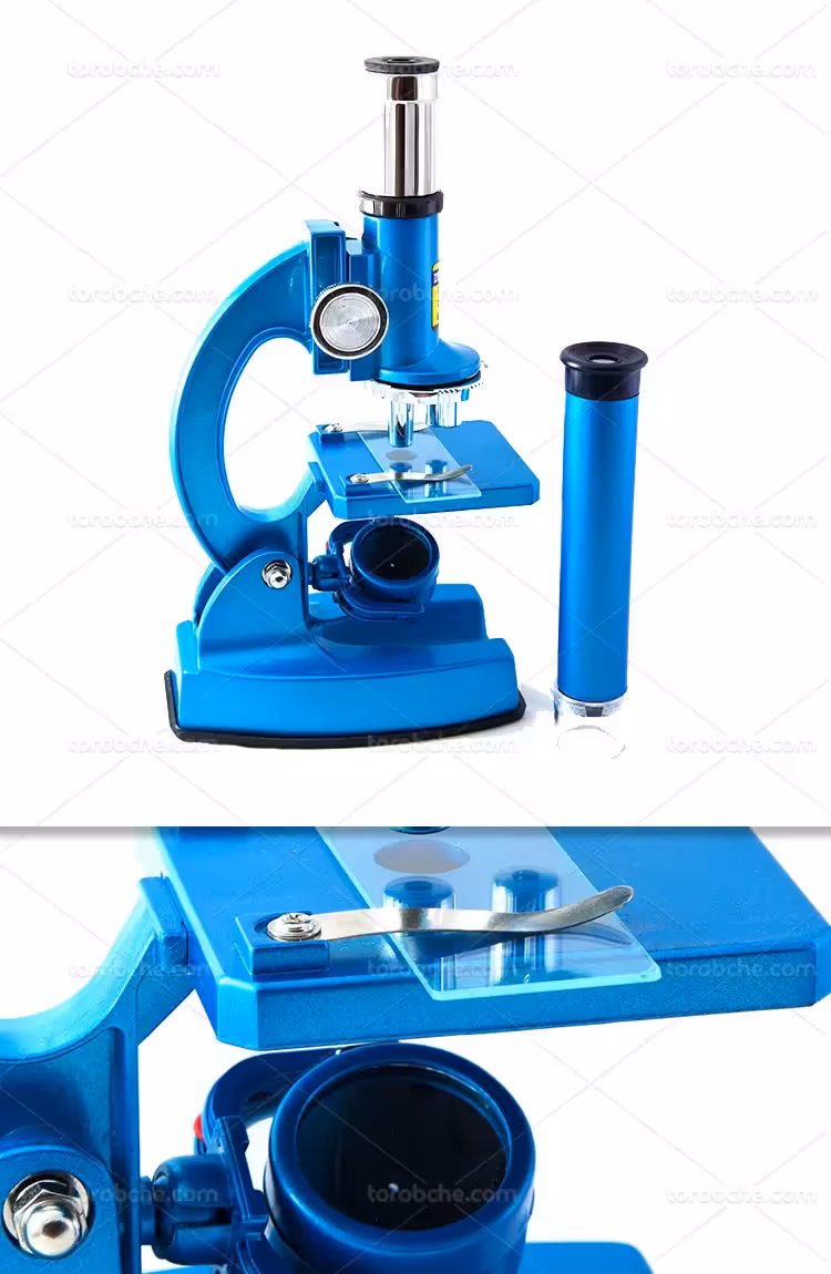 عکس میکروسکوپ با کیفیت | گرافیک با طعم تربچه