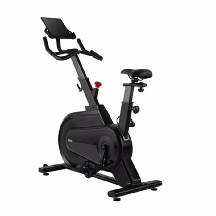 دوچرخه ثابت شیائومی Xiaomi KingSmith H1