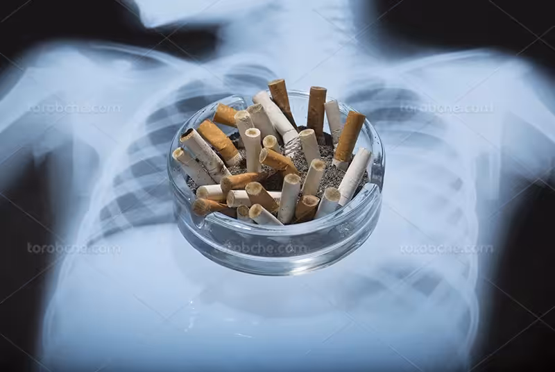 عکس مفهومی مضرات سیگار بر ریه انسان | گرافیک با طعم تربچه