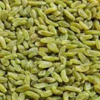 کشمش سبز کاشمر درجه اول 1کیلویی (وزن خالص 900 گرم) 