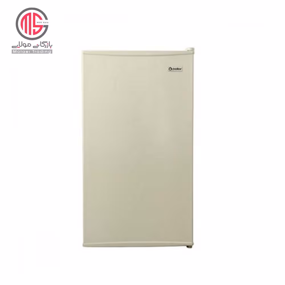 یخچال فریزر 6 فوت پلار مدل R62