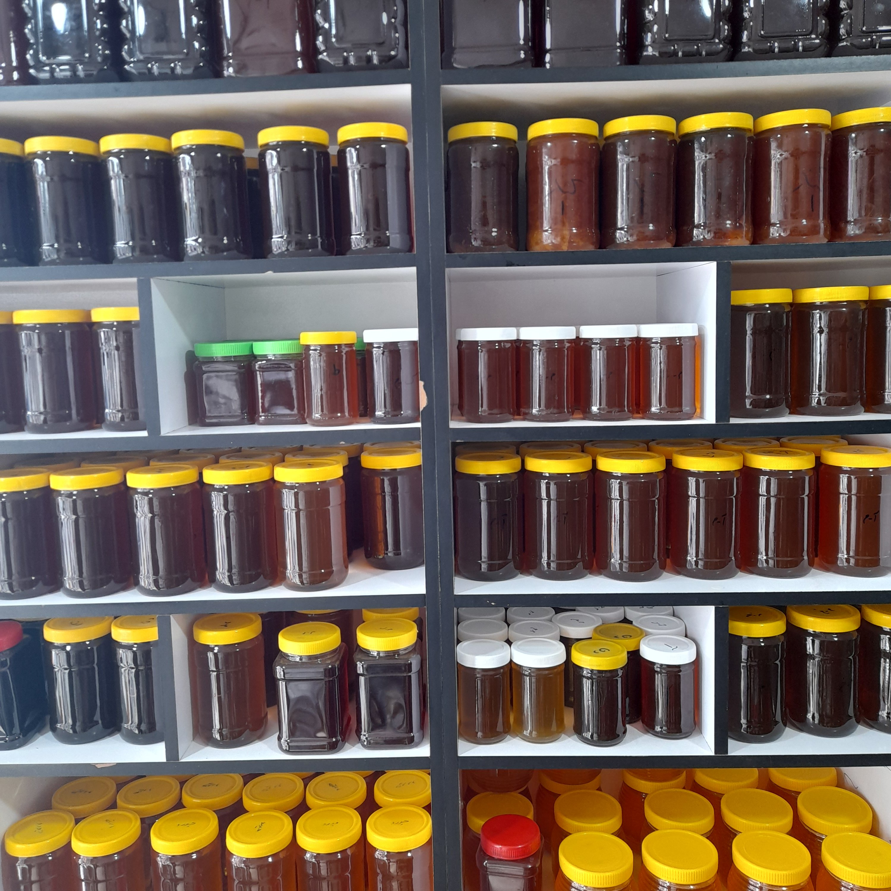 عسل گون اویشن (500گرمی)