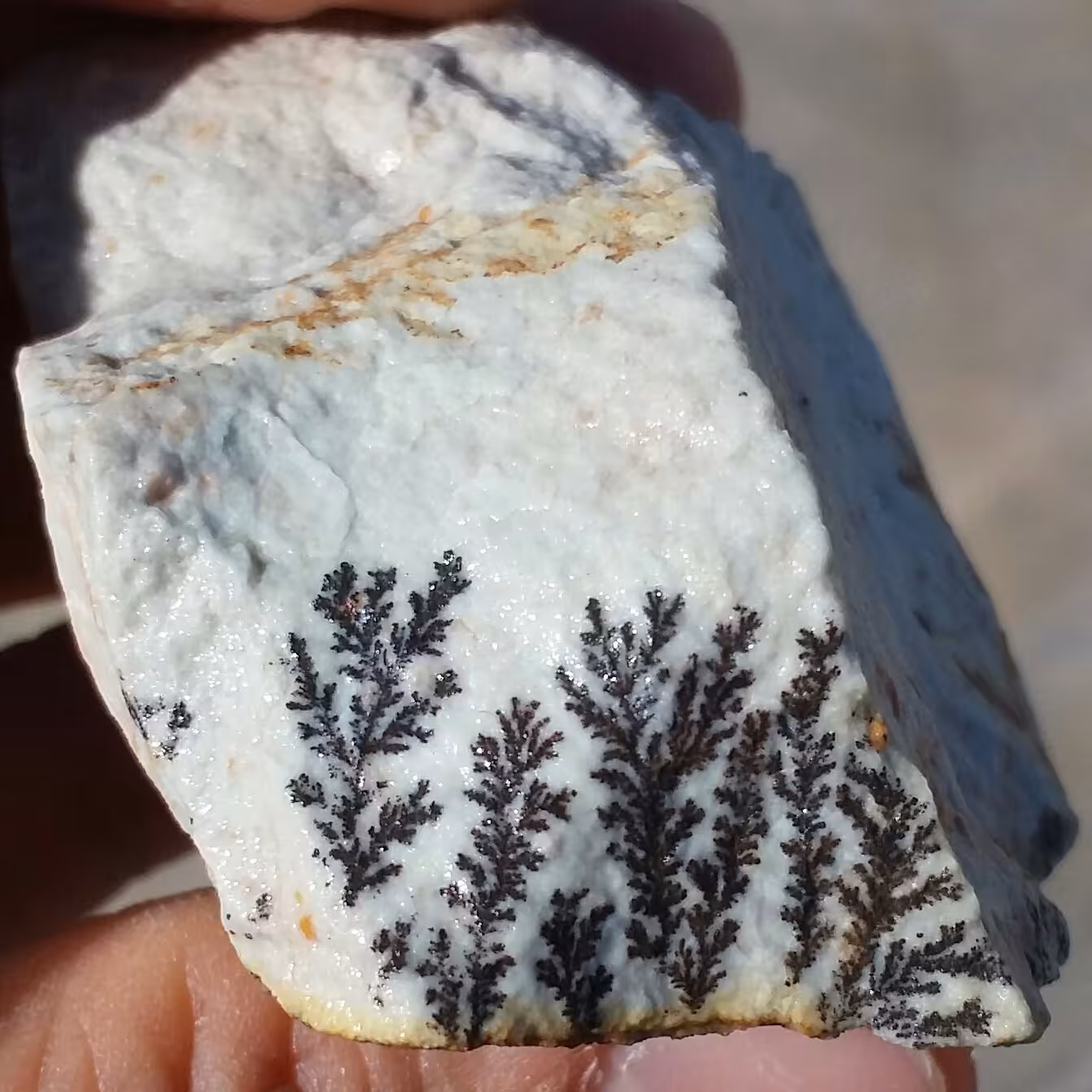 سنگ راف صد در صد طبیعی شجر دندریتی یا فسیلی بسیاار زیبا خاااص شاهکار خلقت
شجر واضح فوق العاده
