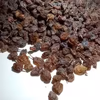 بسته 10کیلو گرمی مویز ارگانیک