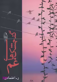 کتاب گنجشک های غم اثر ر.اعتمادی انتشارات شادان