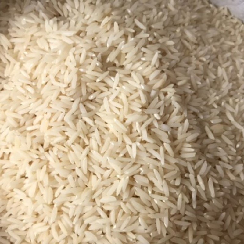 برنج طارم هاشمی امساله فریدونکنار کیسه 20 کیلوگرمی