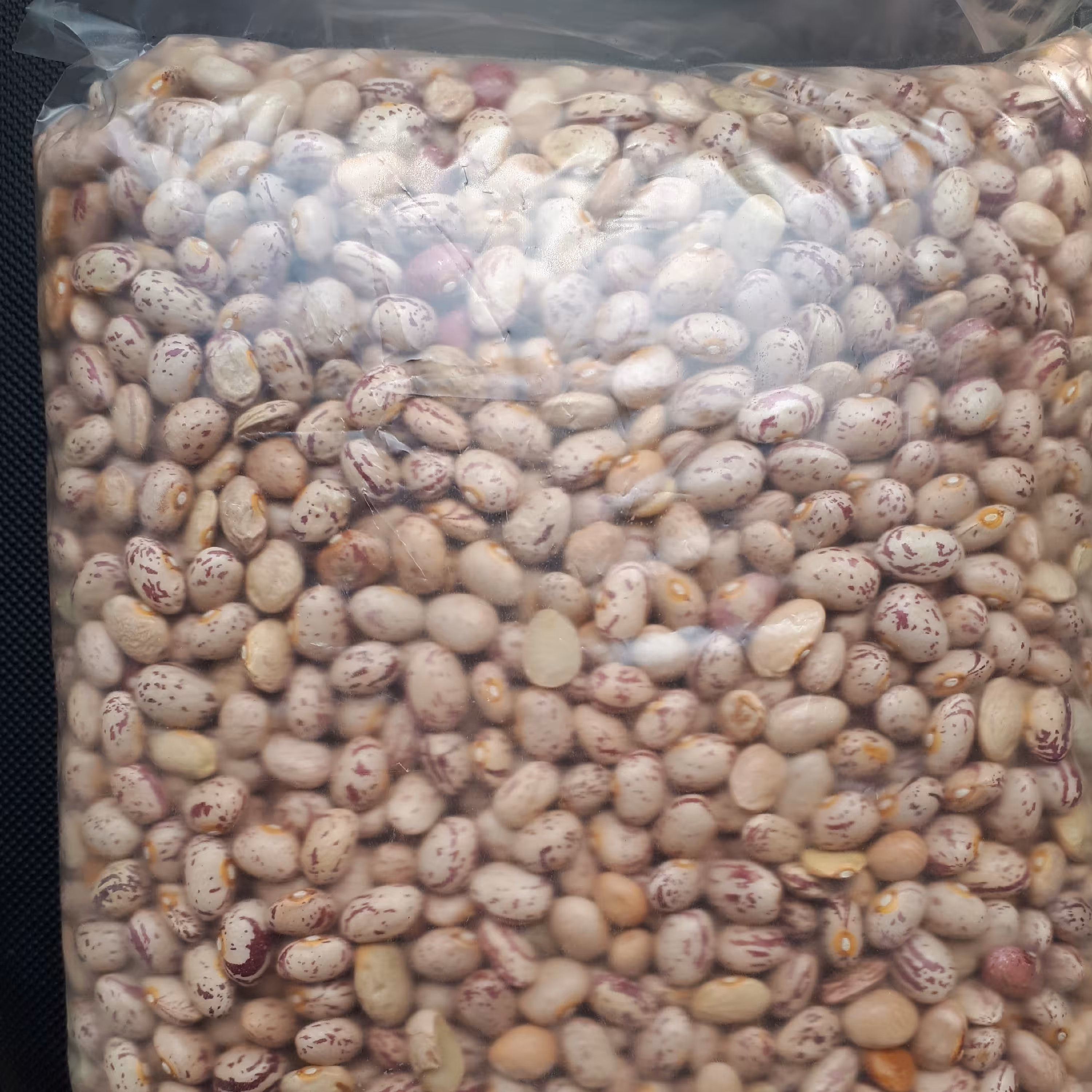 لوبیا چیتی (1کیلویی) درجه 1