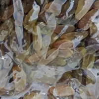کشمش سبزه