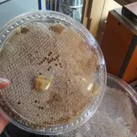 عسل خود بافت (نه نه کوکب)