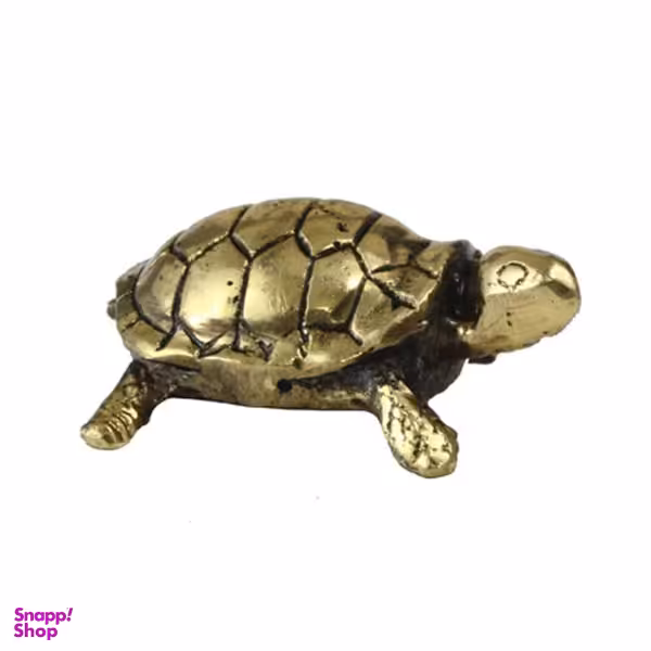 مجسمه مدل لاک پشت کد AL-20030044