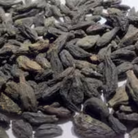 هلیله سیاه درشت 100 گرمی ،هلیله سیاه