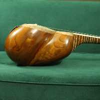 ساز تار 14