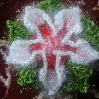 اسکاج گل دریا