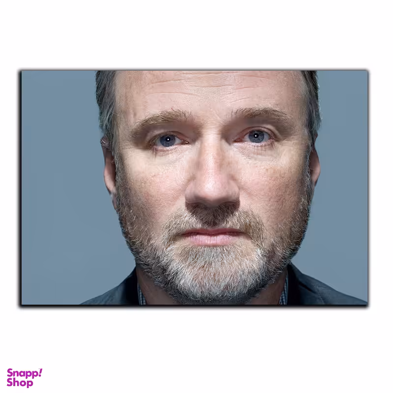 تابلو شاسی بکلیت طرح کارگردلن هالیوود دیوید فینچر مدل SH-6507