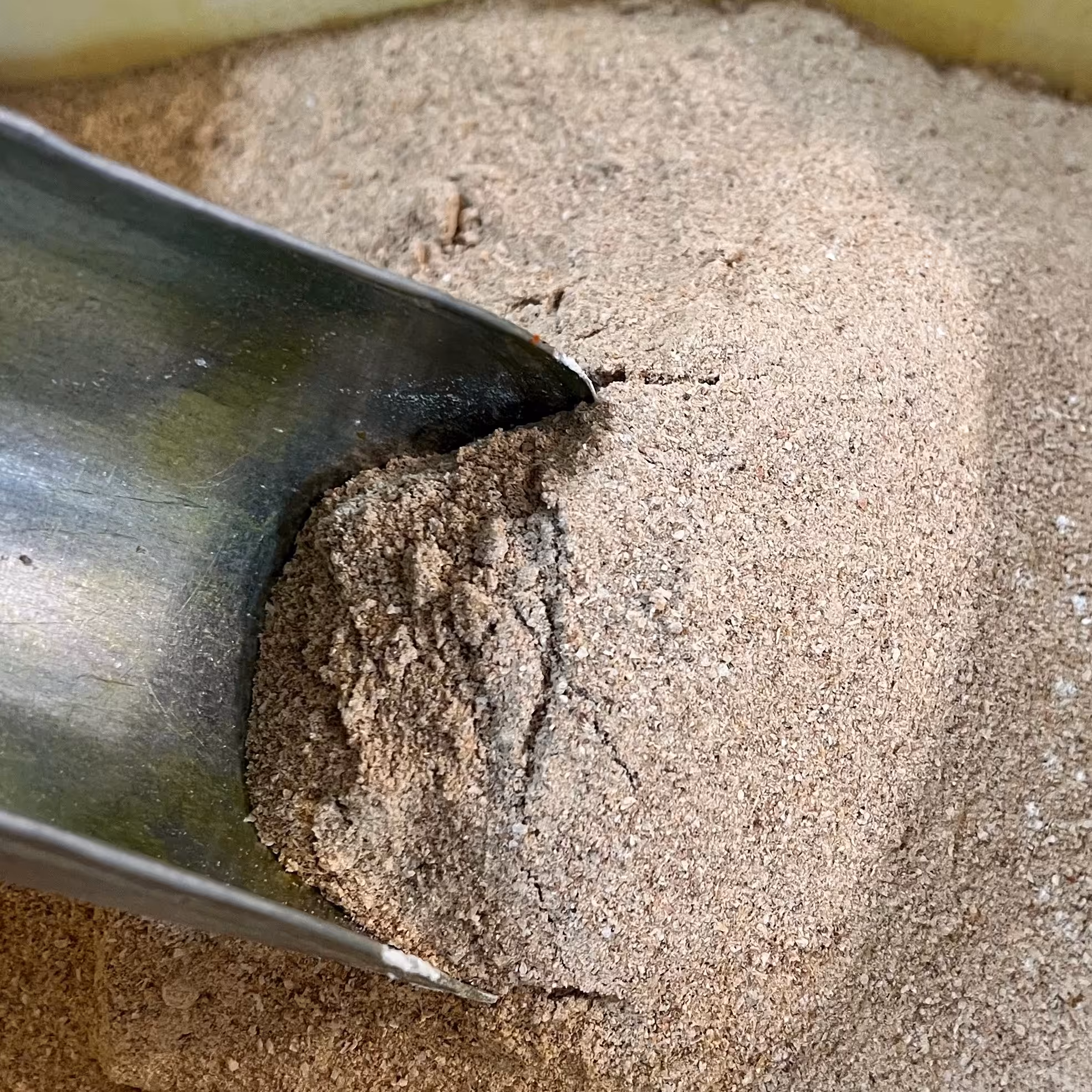 پودر پیاز درجه یک (100گرمی) از عمده فروشی ادویه کیامد