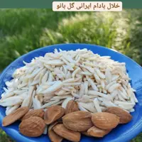 خلال بادام ایرانی گل بانو