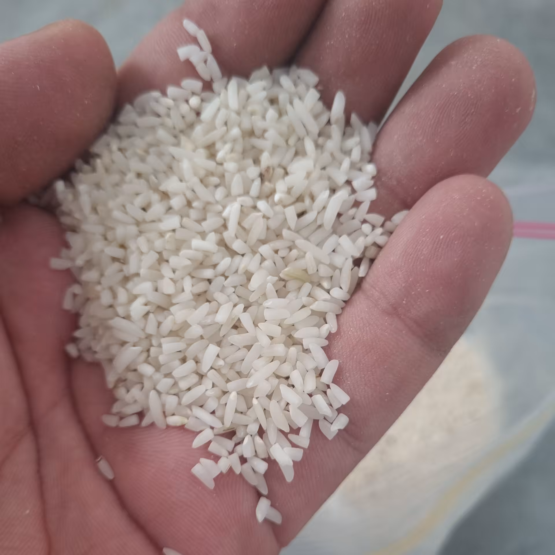 برنج نیمدانه هاشمی استانه عطری سورتینگ(5کیلوگرمی)