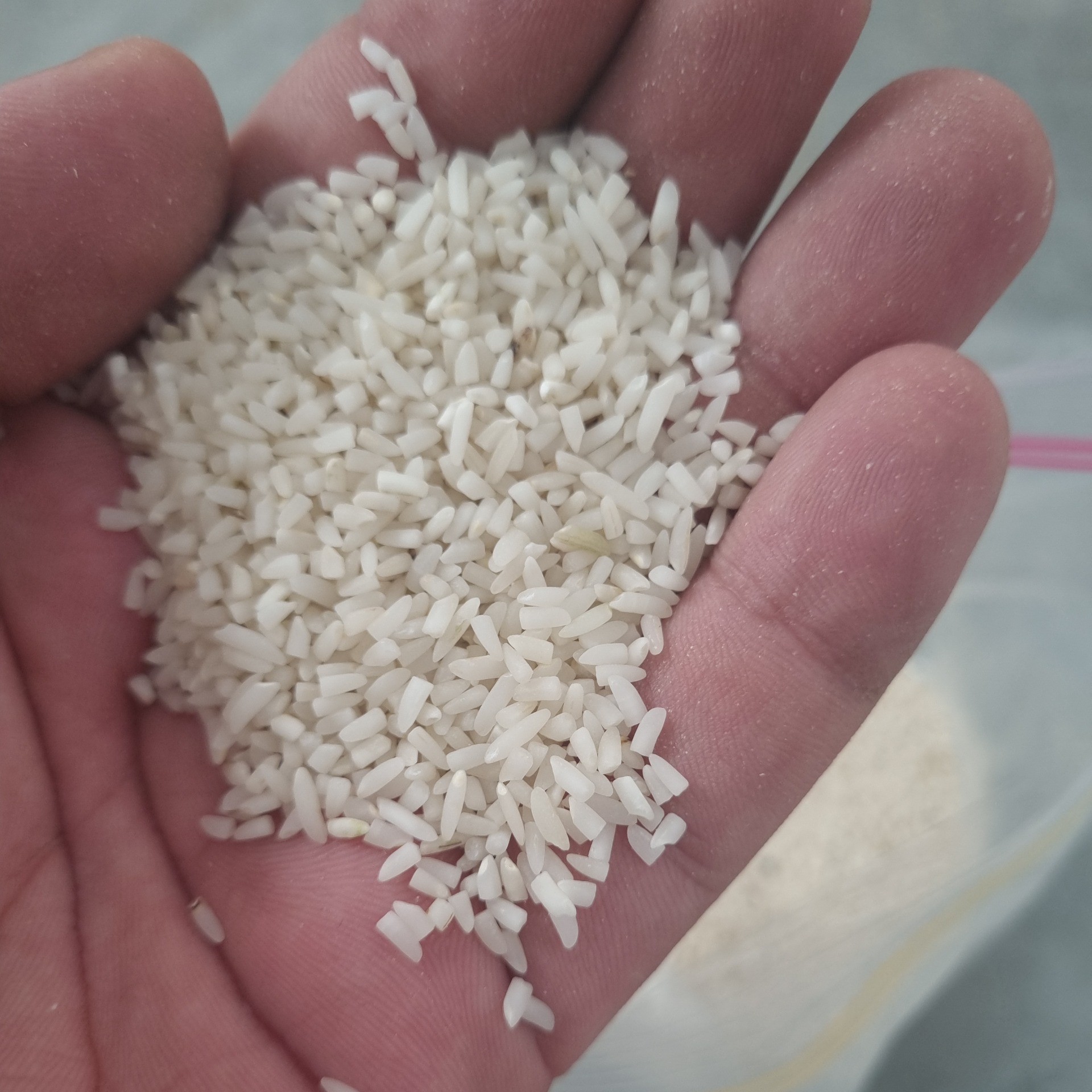 برنج نیمدانه هاشمی استانه عطری سورتینگ(5کیلوگرمی)
