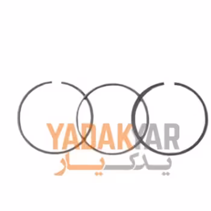 رینگ موتور استاندارد پژو پژو