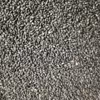 تخم شربتی درشت اعلاء 75 گرم