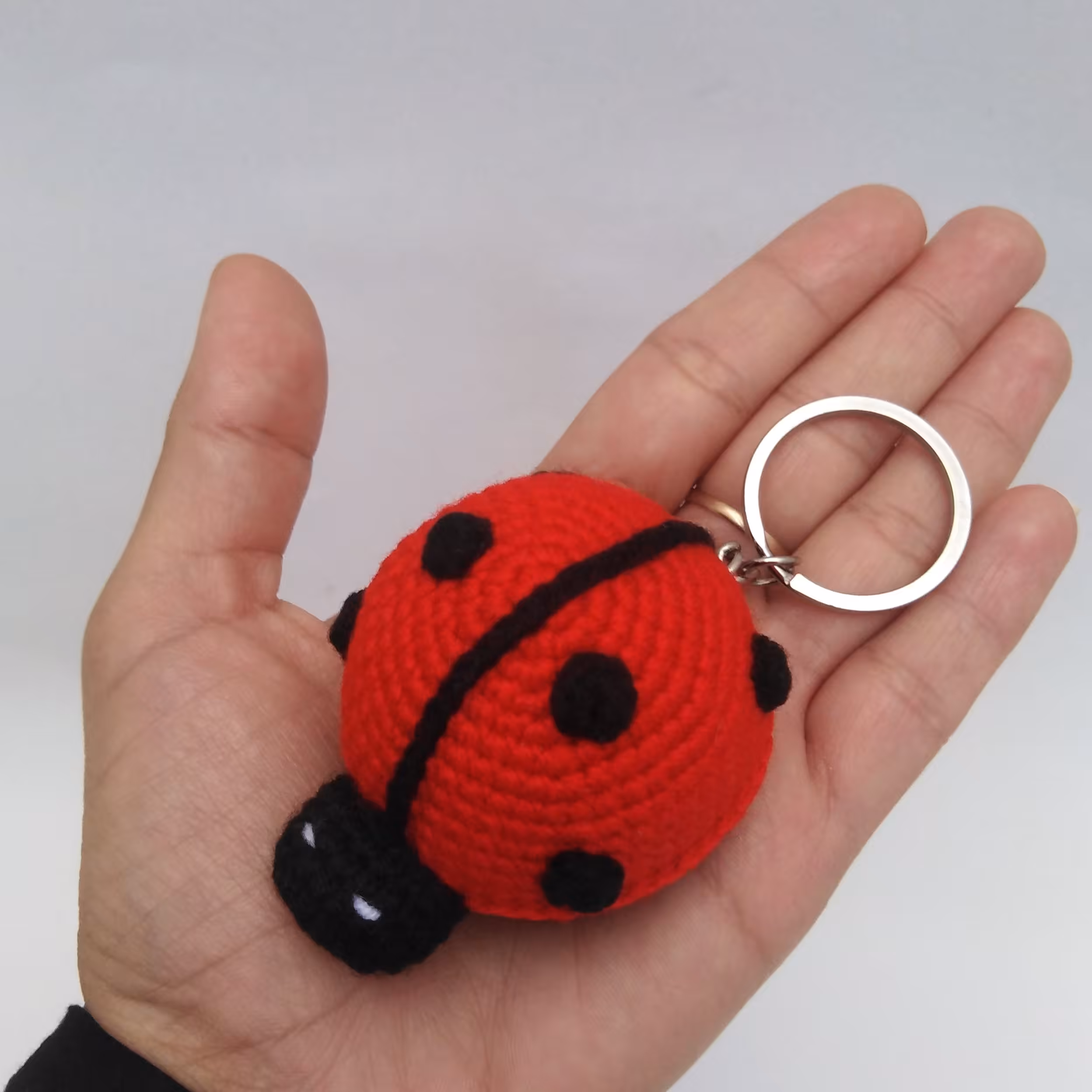 جاکلیدی کفشدوزک 