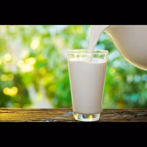 شیر گاومیش پر چرب 10کیلویی،مستقیم از دامدار