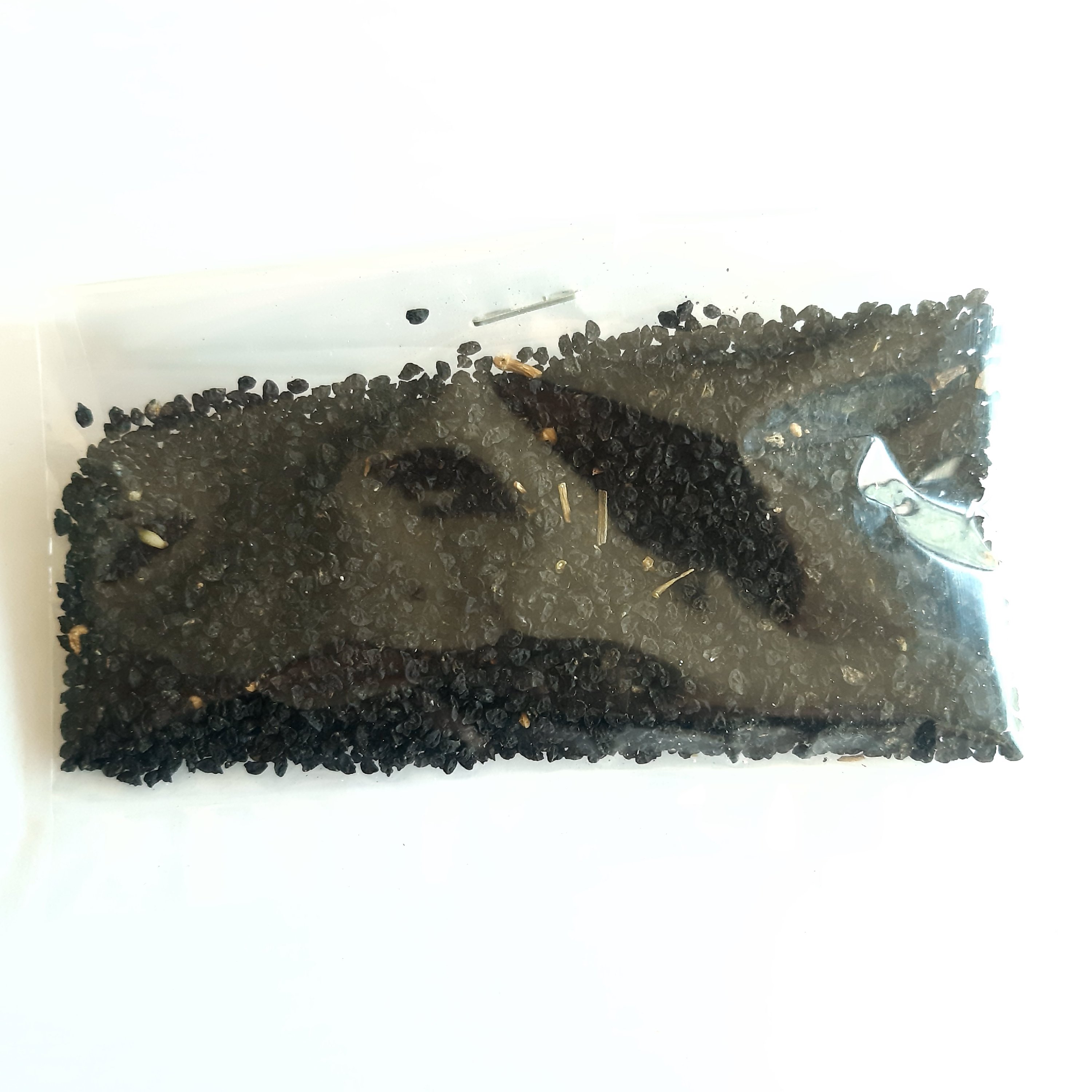 بذر تره شیرازی ( 50 گرم )