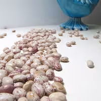 لوبیا چیتی اعلا 900 گرمی ارسال رایگان