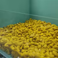 بادام هندی شور 