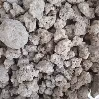 شیر خشت اصل 50 گرم 