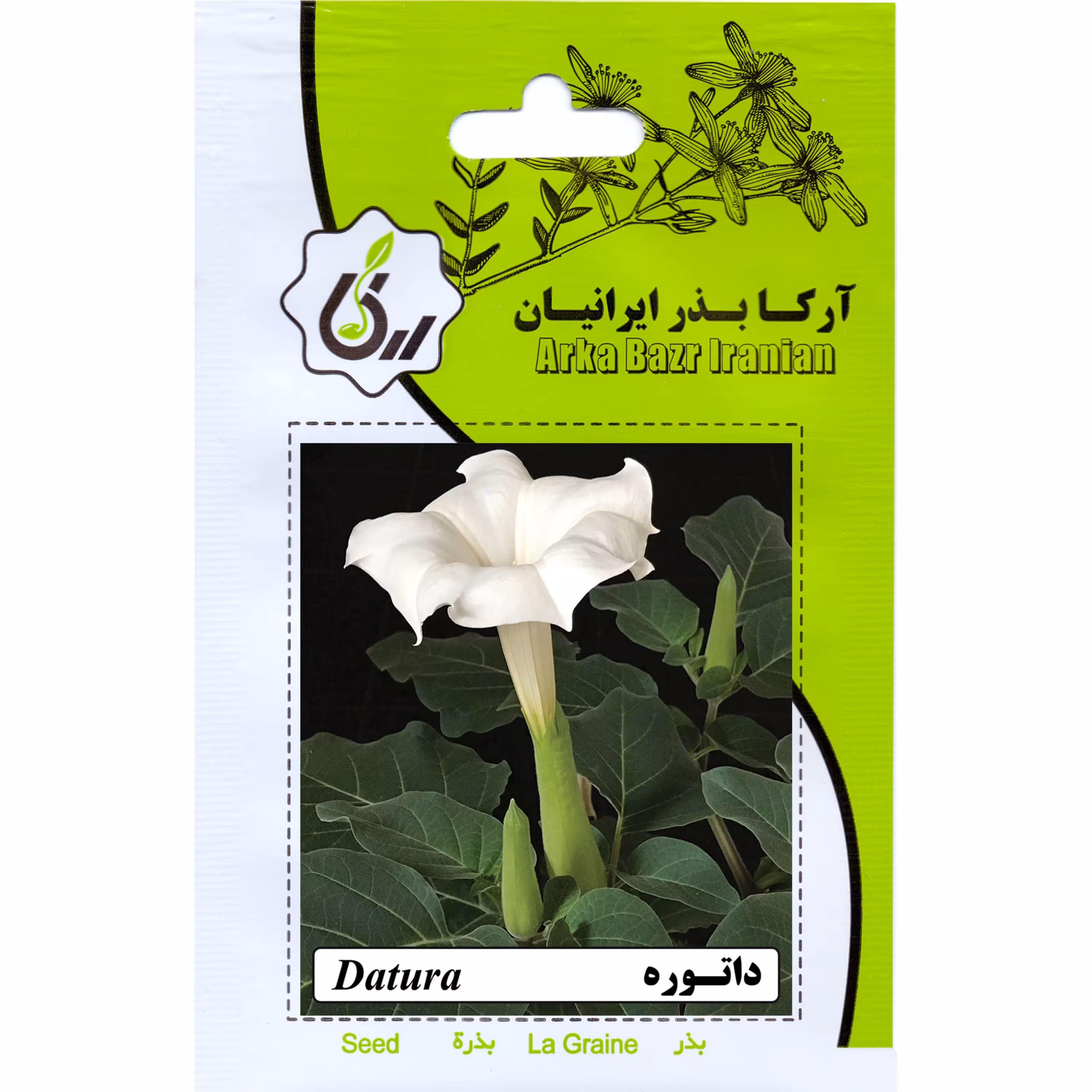 داتوره ارکا بذر ایرانیان