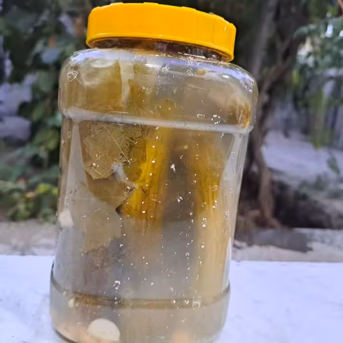 خیارشور قلمی ترد امسالی  فووق العاده خوشمزه