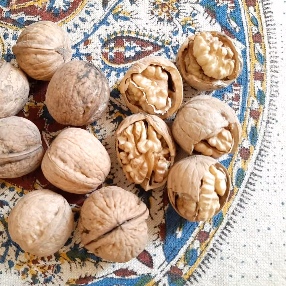 خشکبارنازگل 
گردوی درجه یک ومناسب (1000)گرمی