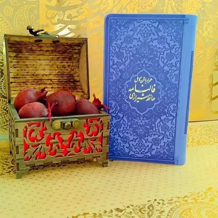دیوان حافظ پالتویی رنگی یاسی