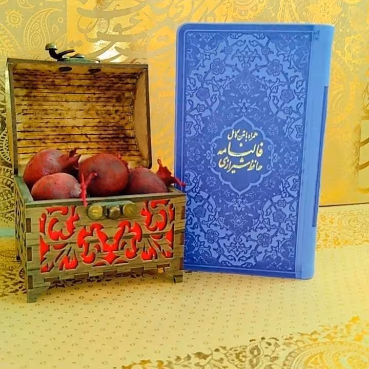 دیوان حافظ پالتویی رنگی یاسی