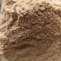 سیریش سریش چسب طبیعی پودری 300گرم