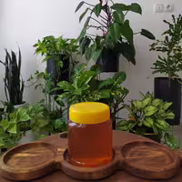 عسل کنارآبتین ارگانیک(نیم کیلویی)