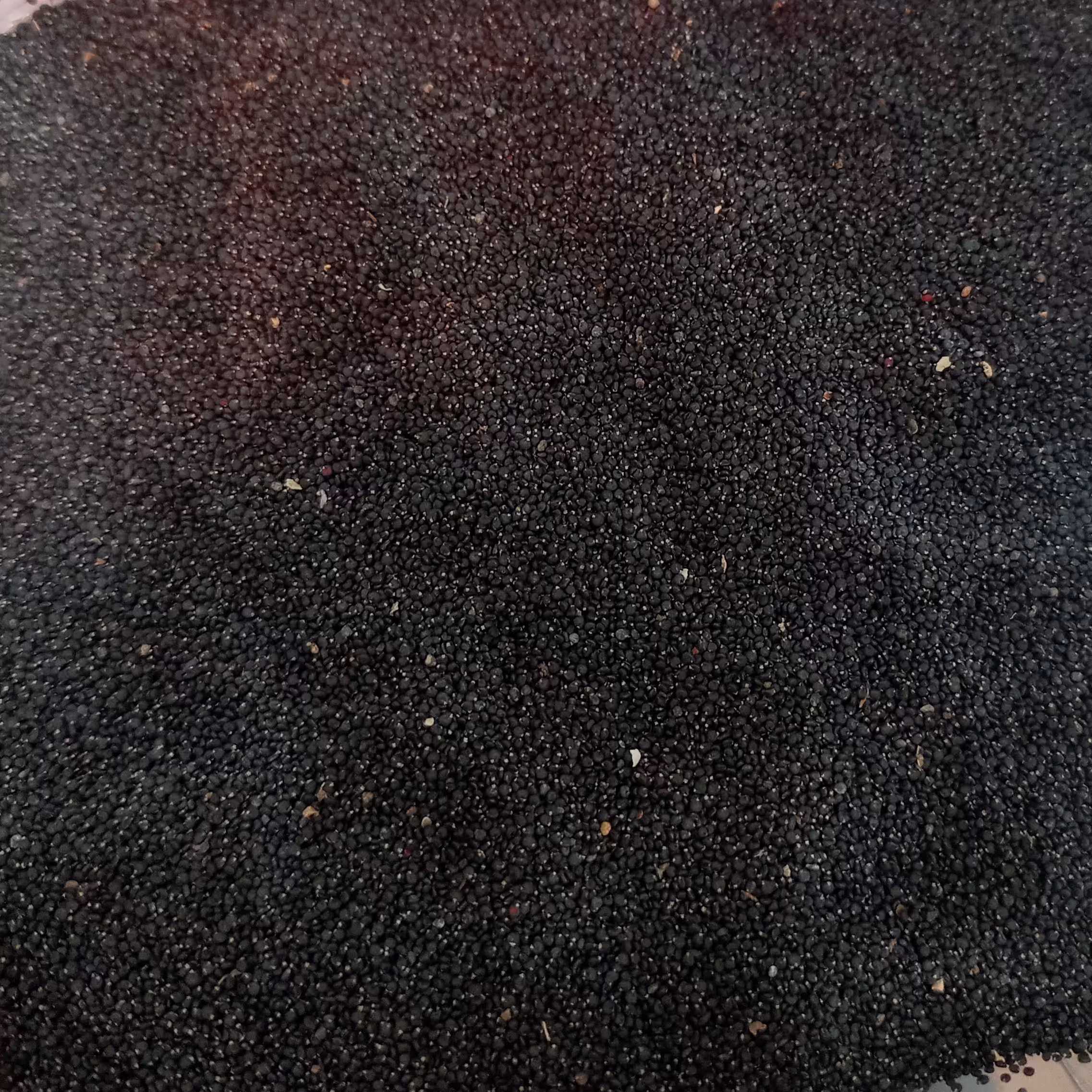 بذر خرفه 100 گرمی رفع تشنگی سرفه انگل و خونساز ( عطاری فاطر )
