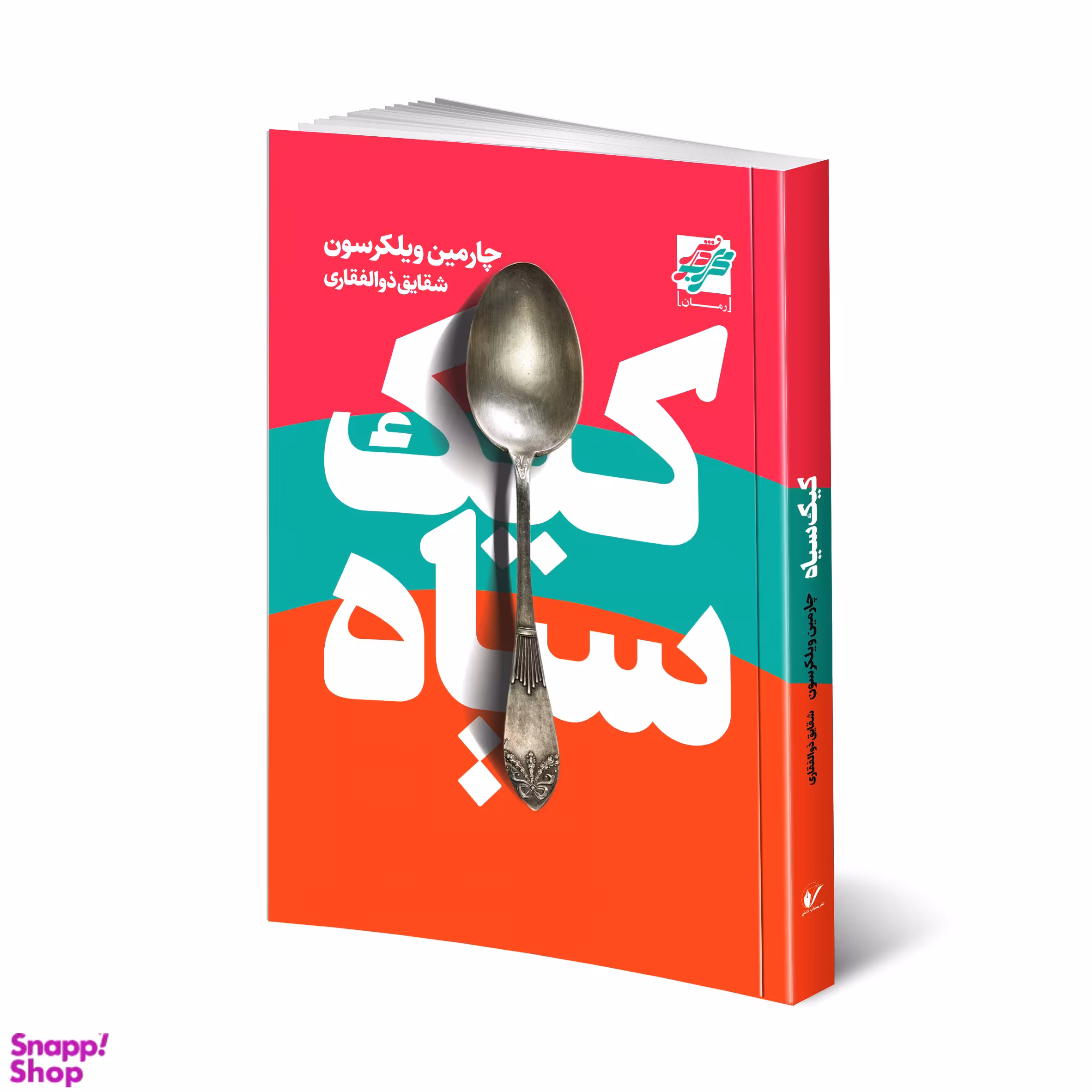 کتاب کیک سیاه اثر شقایق ذوالفقاری انتشارات آتیسا