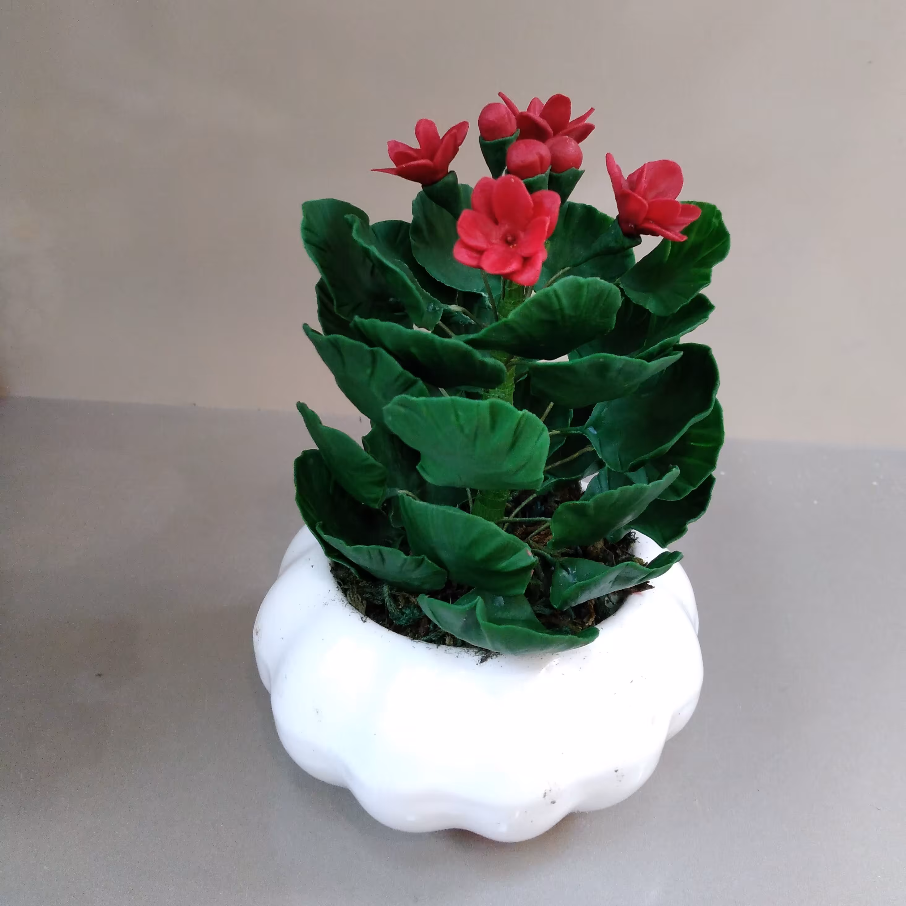 گلدان گل شمعدانی بسیار زیبا وشیک درانواع سایزها و رنگهای گل