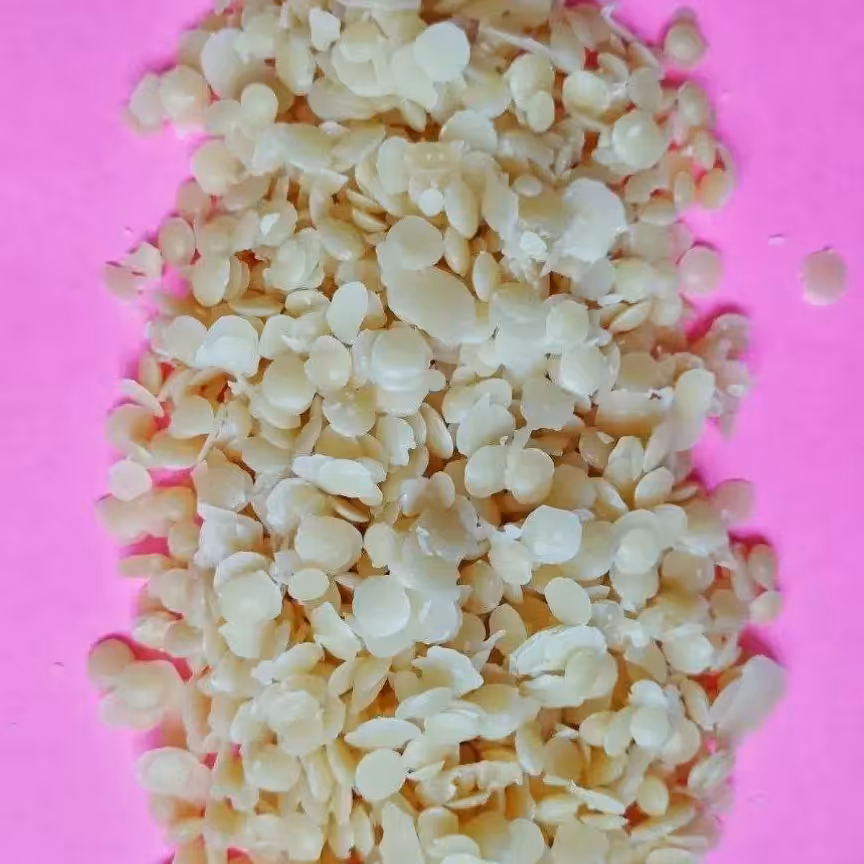 موم پرک عدسی