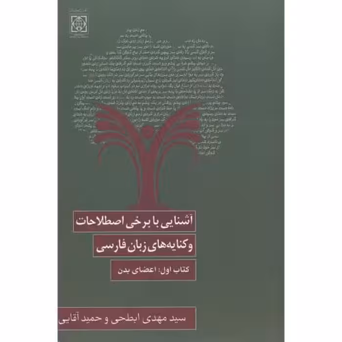 کتاب آشنایی با برخی اصطلاحات و کنایه های زبان فارسی