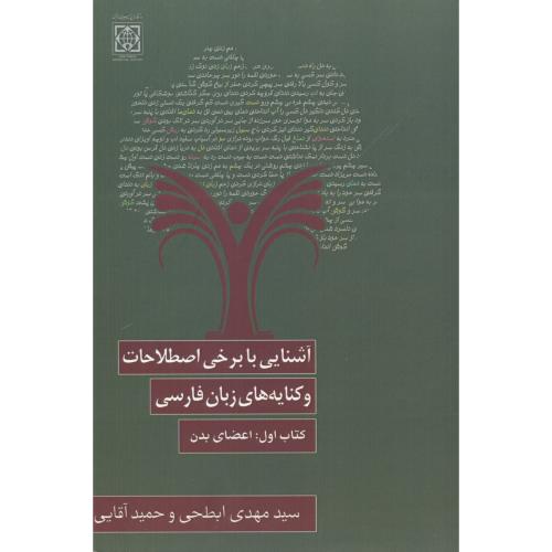 کتاب آشنایی با برخی اصطلاحات و کنایه های زبان فارسی