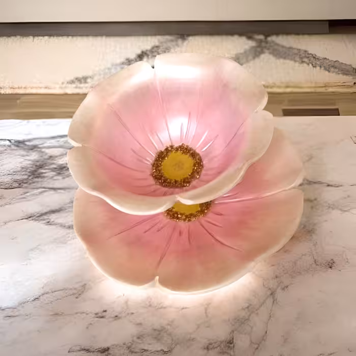 ست کاسه بشقاب پذیرایی سفالی  نیلوفری صورتی براق با طرح برجسته