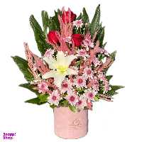 باکس گل گل آنلاین مدل اقتصادی